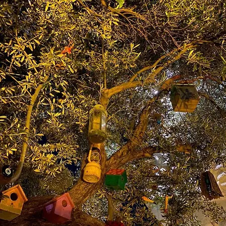 Ruezgar Guelue Butik 2*