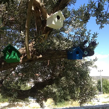 Ruezgar Guelue Butik לינה וארוחת בוקר אלאקאטי