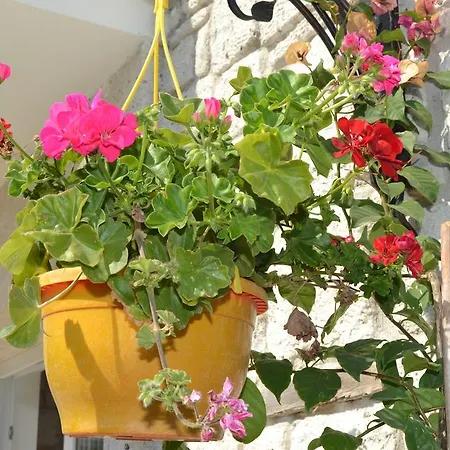 Ruezgar Guelue Butik