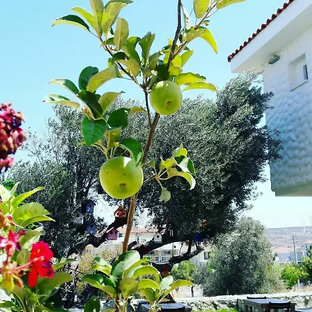 לינה וארוחת בוקר Ruezgar Guelue Butik