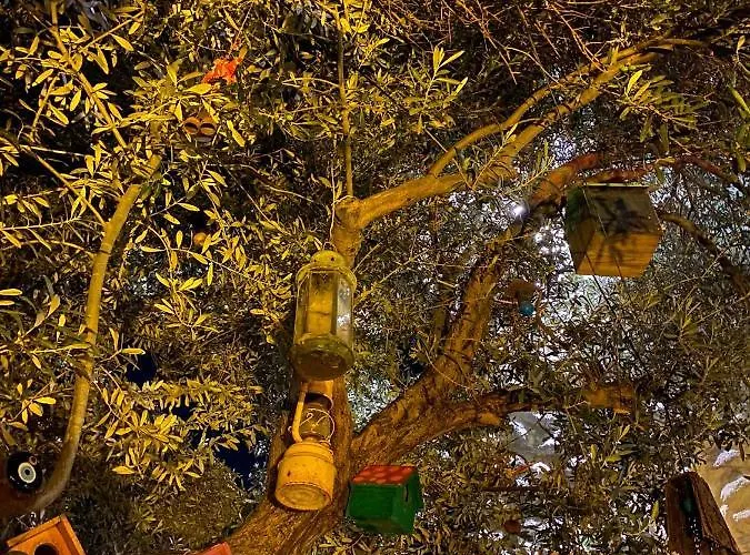 Ruezgar Guelue Butik 2*