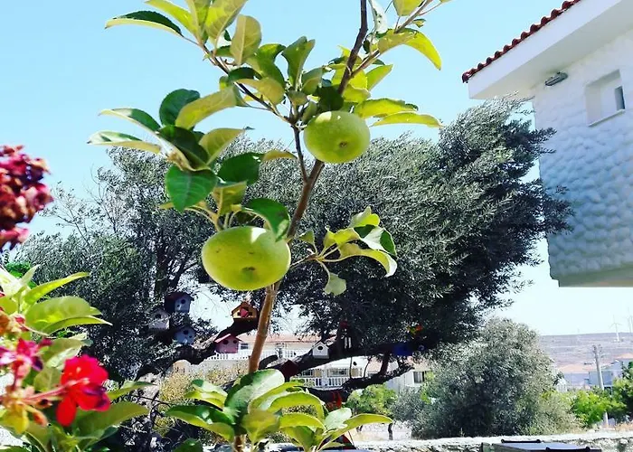 Ruezgar Guelue Butik