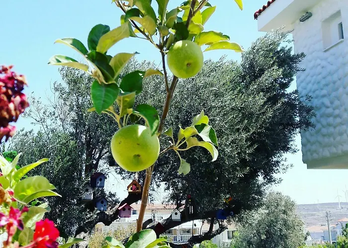 Bed & Breakfast Ruezgar Guelue Butik