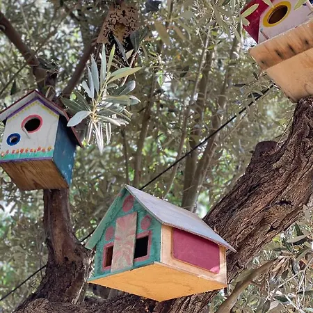 Ruezgar Guelue Butik Otel Bed & Breakfast Alacati