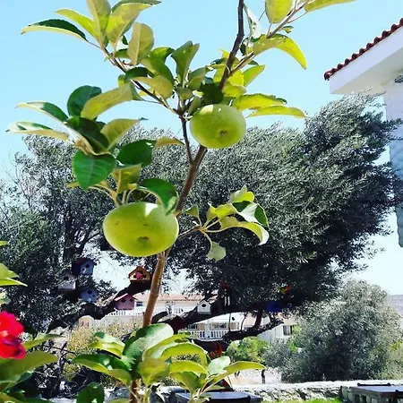 Ruezgar Guelue Butik Otel
