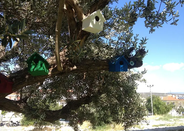 Ruezgar Guelue Butik Bed & Breakfast Alaçatı